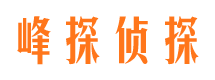 龙胜市出轨取证